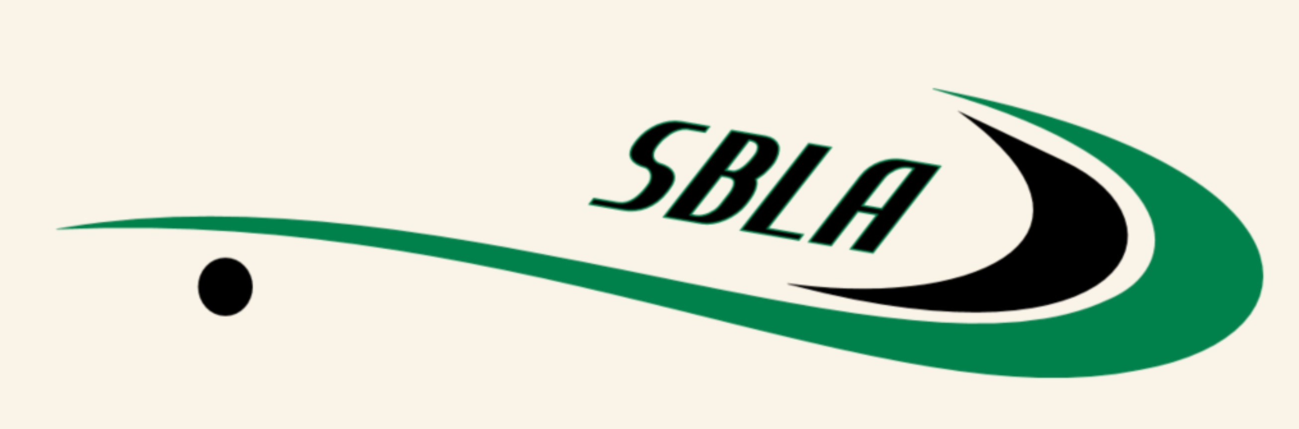 Saskatoon Box Lacrosse League site by RAMP InterActive